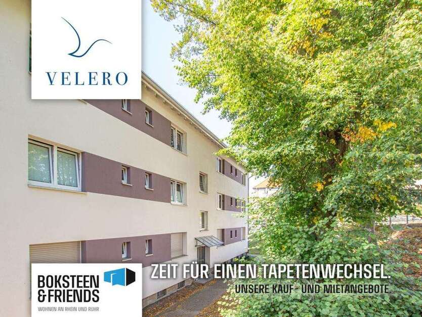 Wohnung zum Mieten in Arnsberg 800 € 113.66 m²