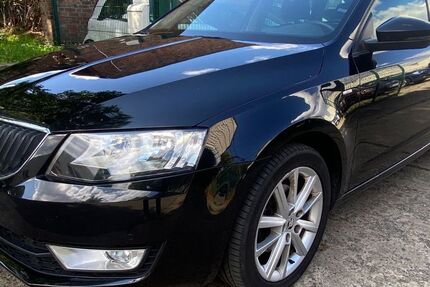 Skoda Octavia 170.000 km 10.690 € Berlin-Lichtenberg 10365