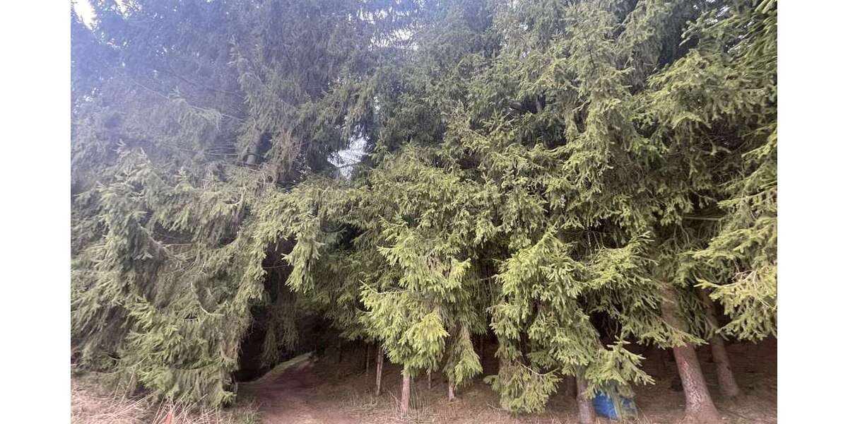 Grundstück Vohenstrauß / Böhmischbruck Böhmischbruck - 125.000&euro; | Angebot:25922970