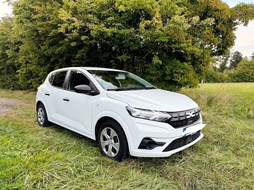 Sandero
