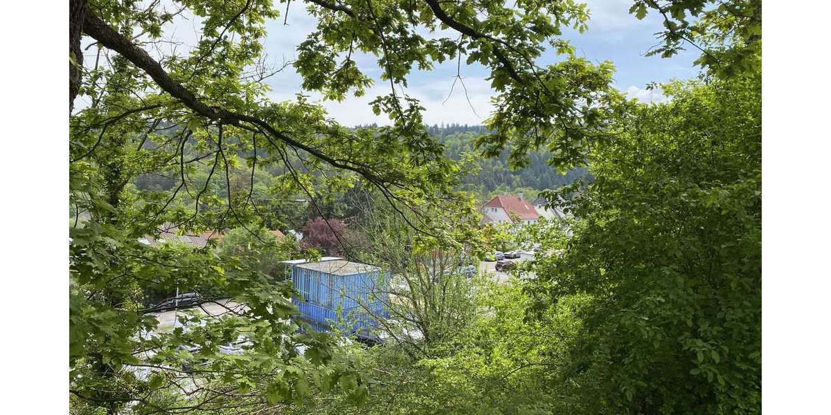 Grundstück Birkenfeld - 3.800.000&euro; | Angebot:7222635