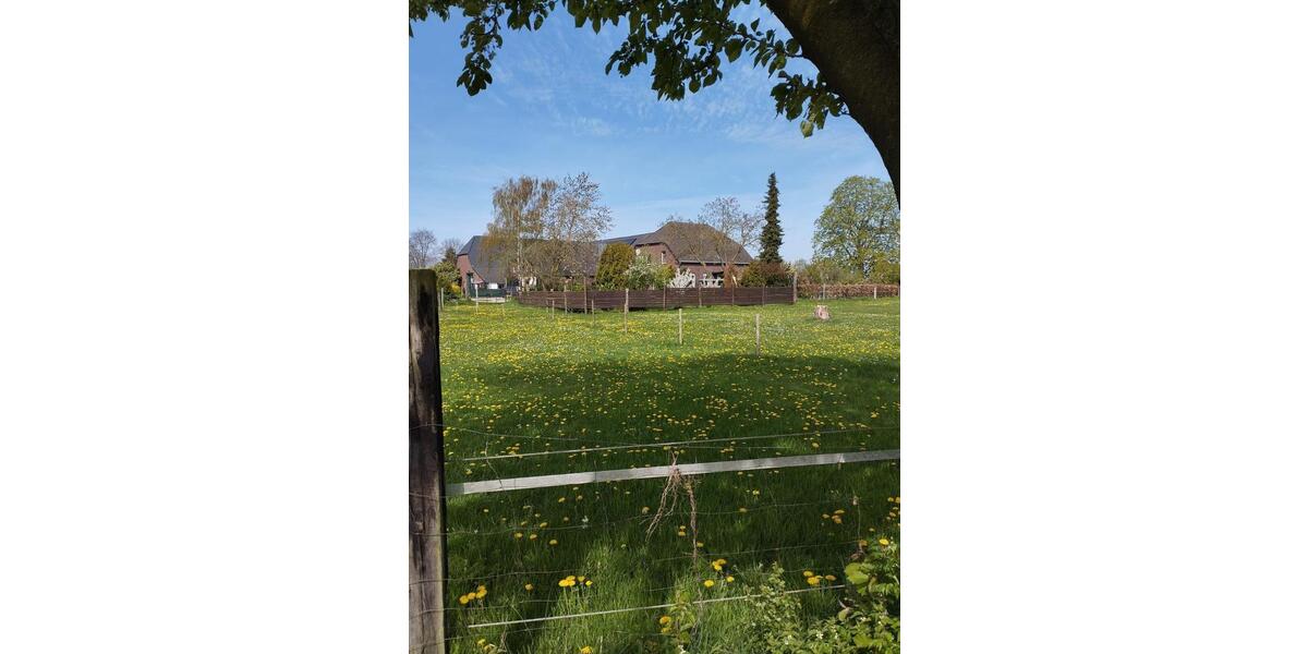 Bauernhaus, Landhaus Goch - 8.5 Zimmer, 250 m&sup2;, 800.000&euro; | Angebot:26940571