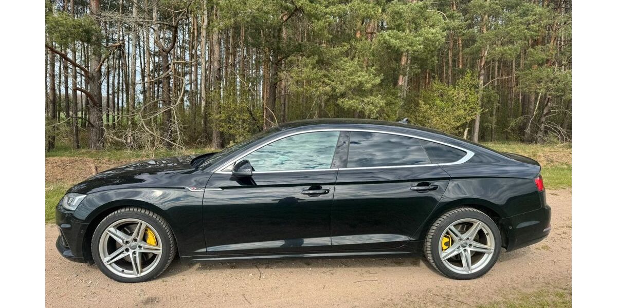 Audi A5 189.300 km 21.200 &euro; Gifhorn 38518