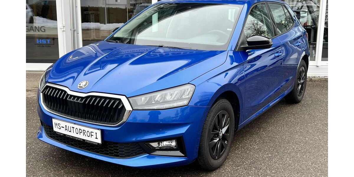 Skoda Fabia 27.301 km 15.890 &euro; Trossingen 78647
