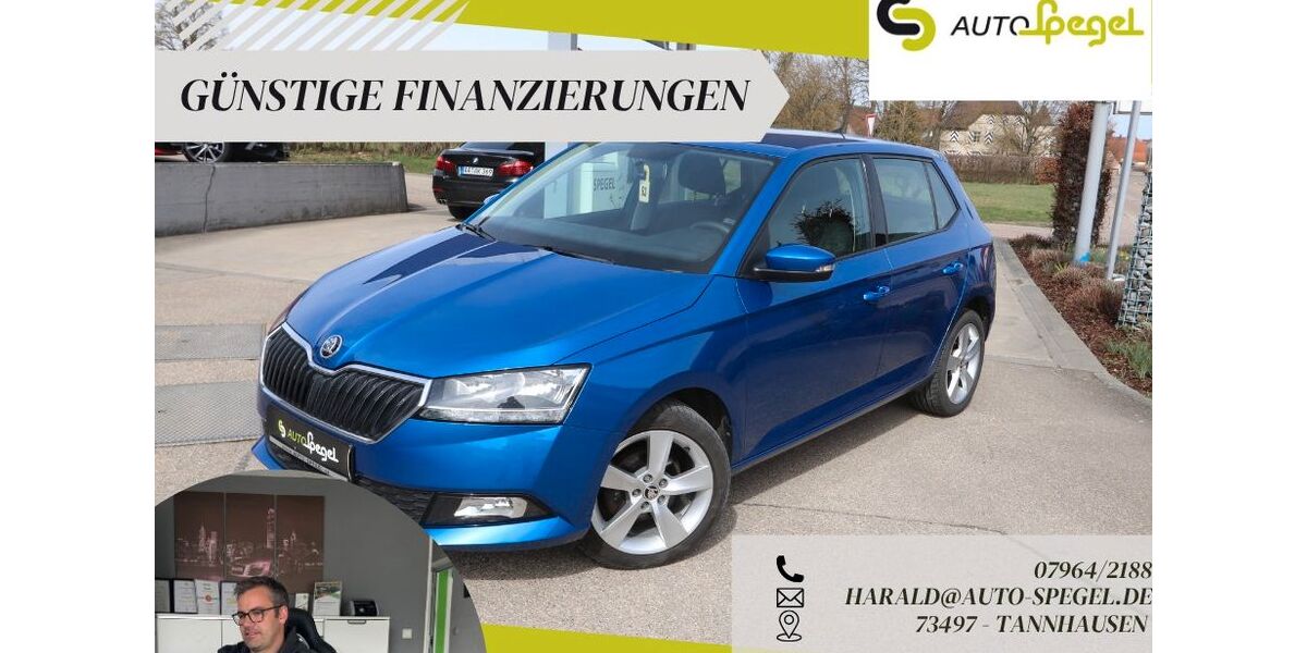 Skoda Fabia 78.773 km 10.490 &euro; Tannhausen 73497