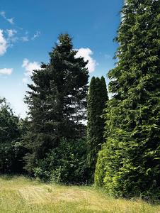 PERFEKT FÜR IHR DOPPELHAUS - Grundstück Augsburg Bergheim | Angebot:25939507