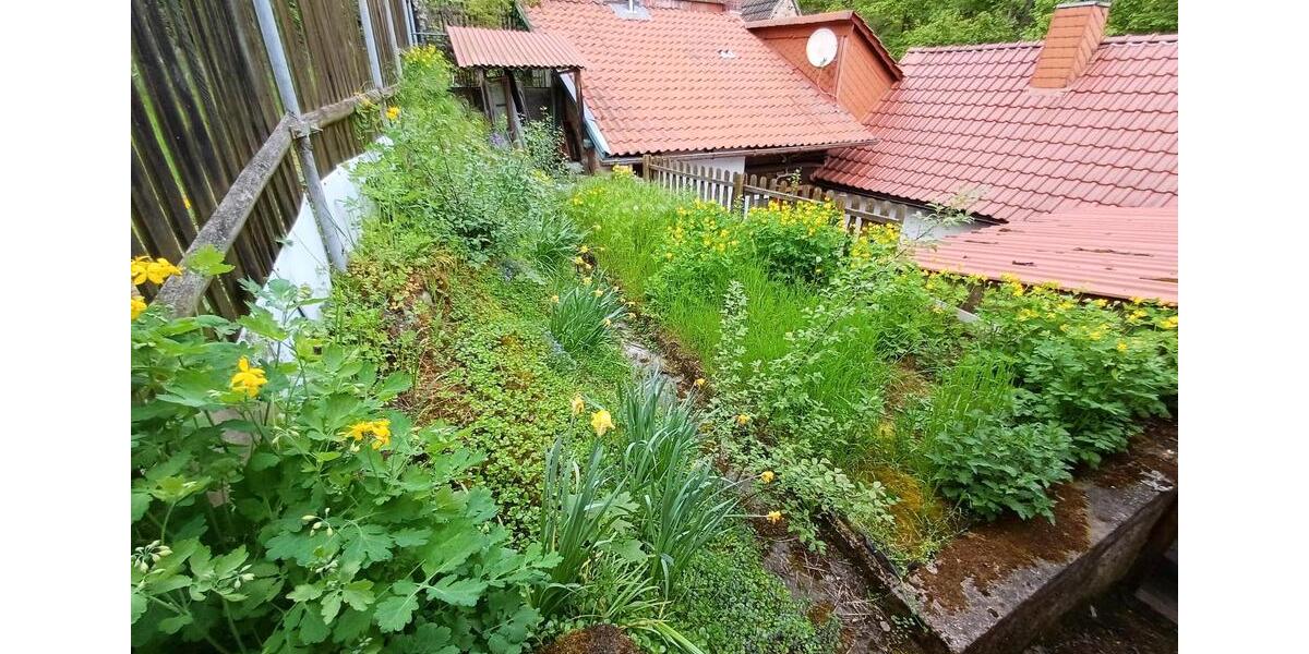 Einfamilienhaus An der Schmücke - 20.000&euro; | Angebot:26414490