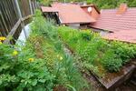 Einfamilienhaus An der Schmücke - 20.000&euro; | Angebot:26414490