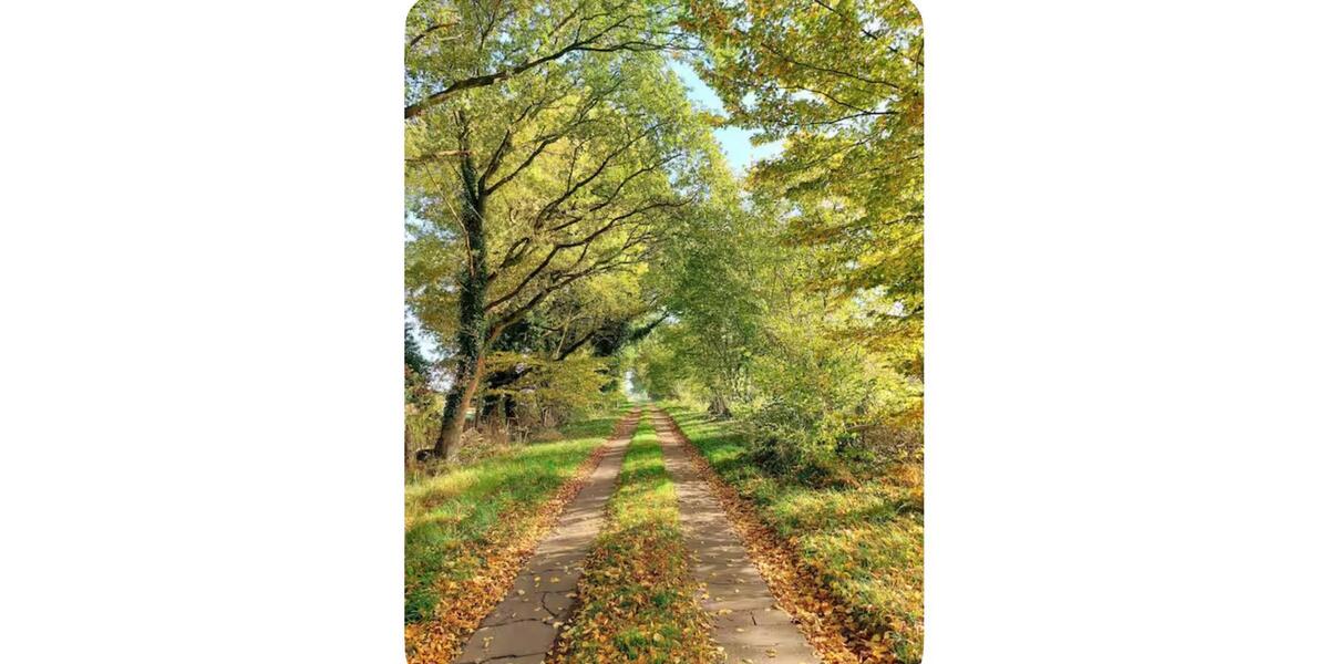 Einfamilienhaus Beverstedt - 1 Zimmer, 20 m&sup2;, 450&euro; | Angebot:26310083