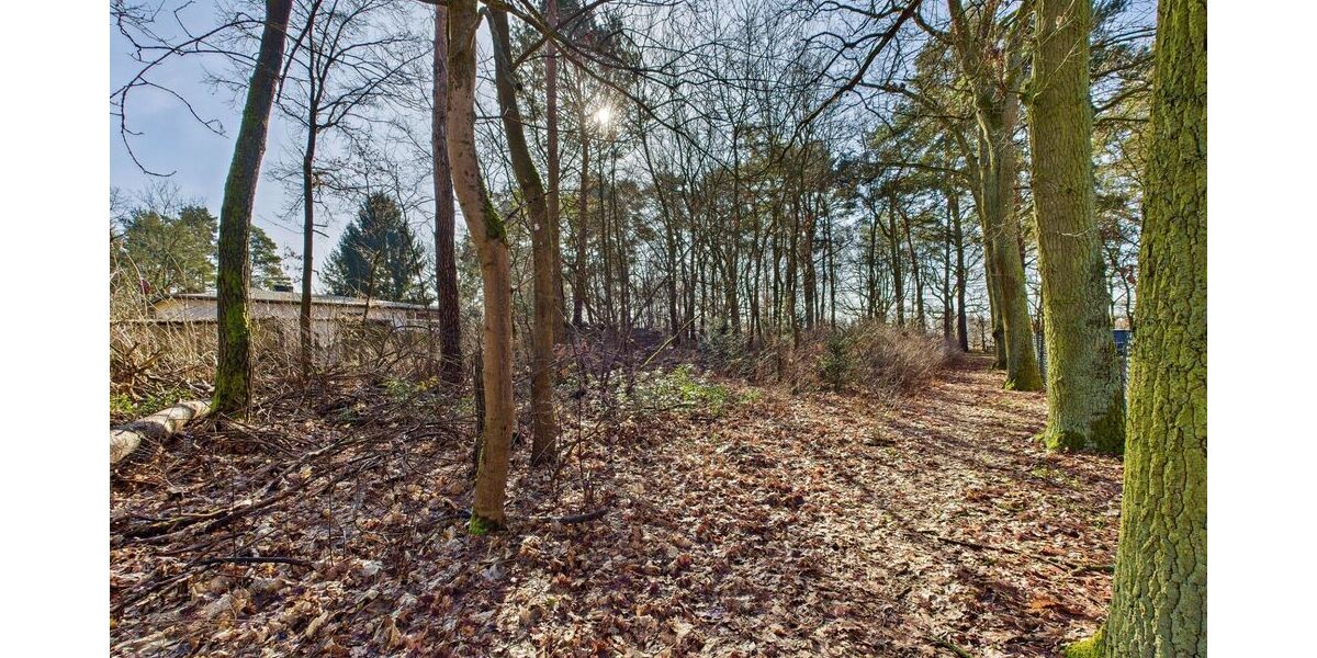 Baugrundstück in kleiner Siedlung - umgeben von Wald und Wiesen - nahe der Spree - Grundstück Grünheide (Mark) | Angebot:25943955