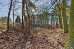 Baugrundstück in kleiner Siedlung - umgeben von Wald und Wiesen - nahe der Spree - Grundstück Grünheide (Mark) | Angebot:25943955