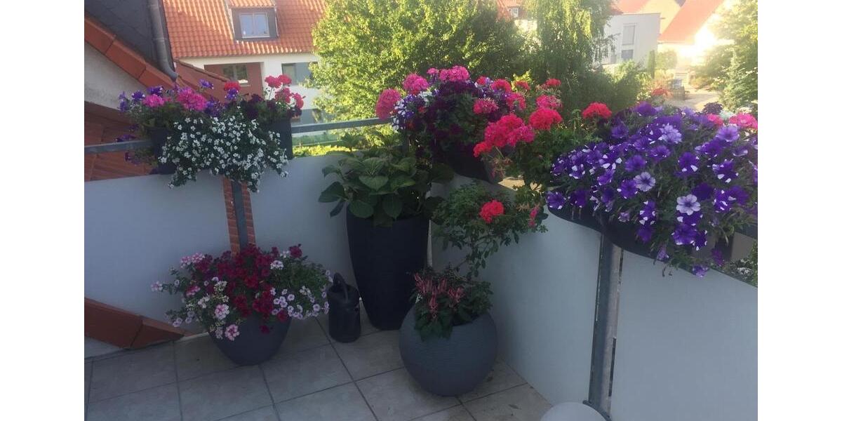 Dachgeschoßwohnung Braunschweig Wabe-Schunter-Beberbach - 2 Zimmer, 48 m&sup2;, 149.000&euro; | Angebot:27167663