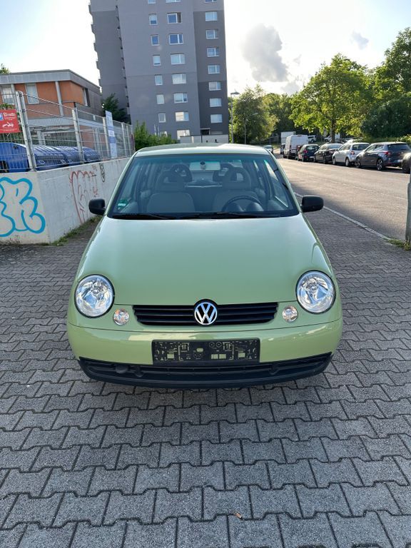 Lupo