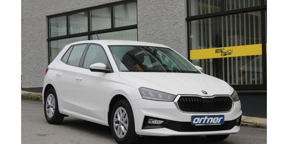 Skoda Fabia 12.983 km 12.480 &euro; Passau 94036