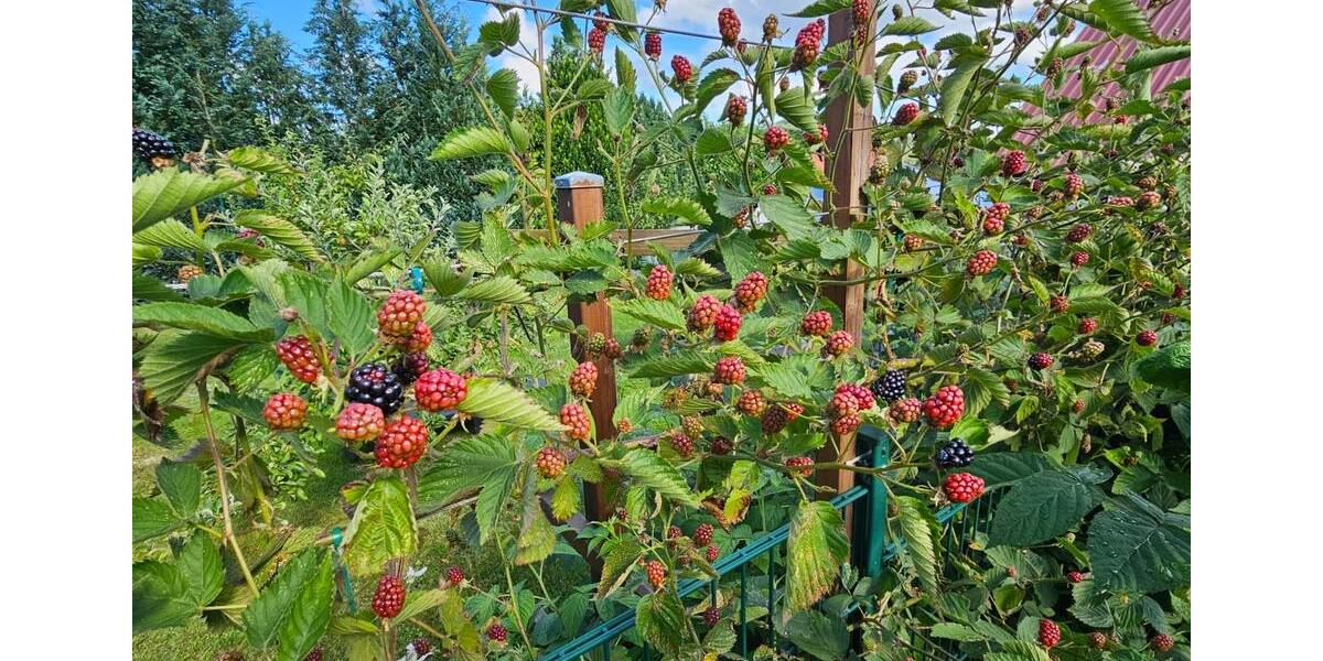 Gewerbeobjekt Oberleichtersbach - 1.800&euro; | Angebot:26700955