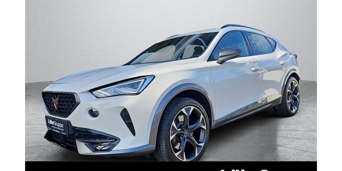 Cupra Formentor 55.254 km 21.590 &euro; Daun 54550