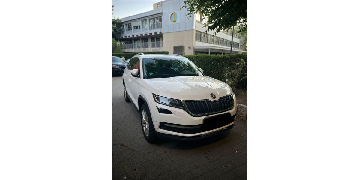 Skoda Kodiaq 178.300 km 19.200 &euro; Kiel 24105