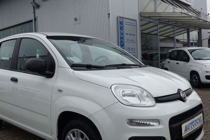 Fiat Panda 10.000 km 9.990 &euro; Hockenheim 68766