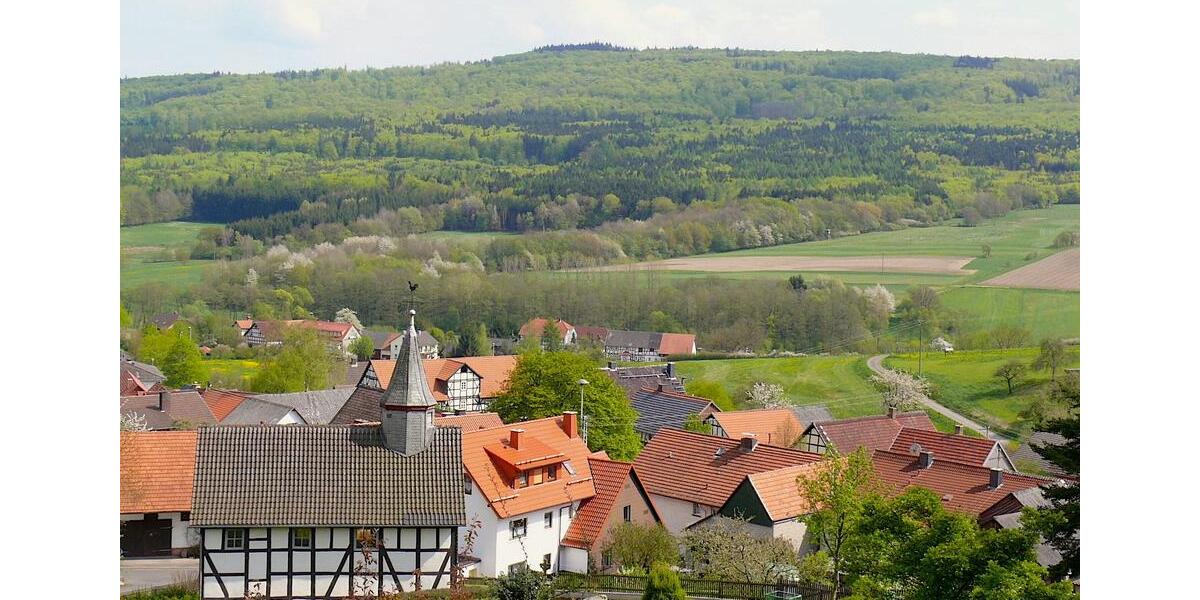 Einfamilienhaus Bad Wildungen - 7 Zimmer, 400 m&sup2;, 980.000&euro; | Angebot:21624522