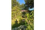 Einfamilienhaus Stralsund - 2 Zimmer, 30 m&sup2;, 12.500&euro; | Angebot:26431391