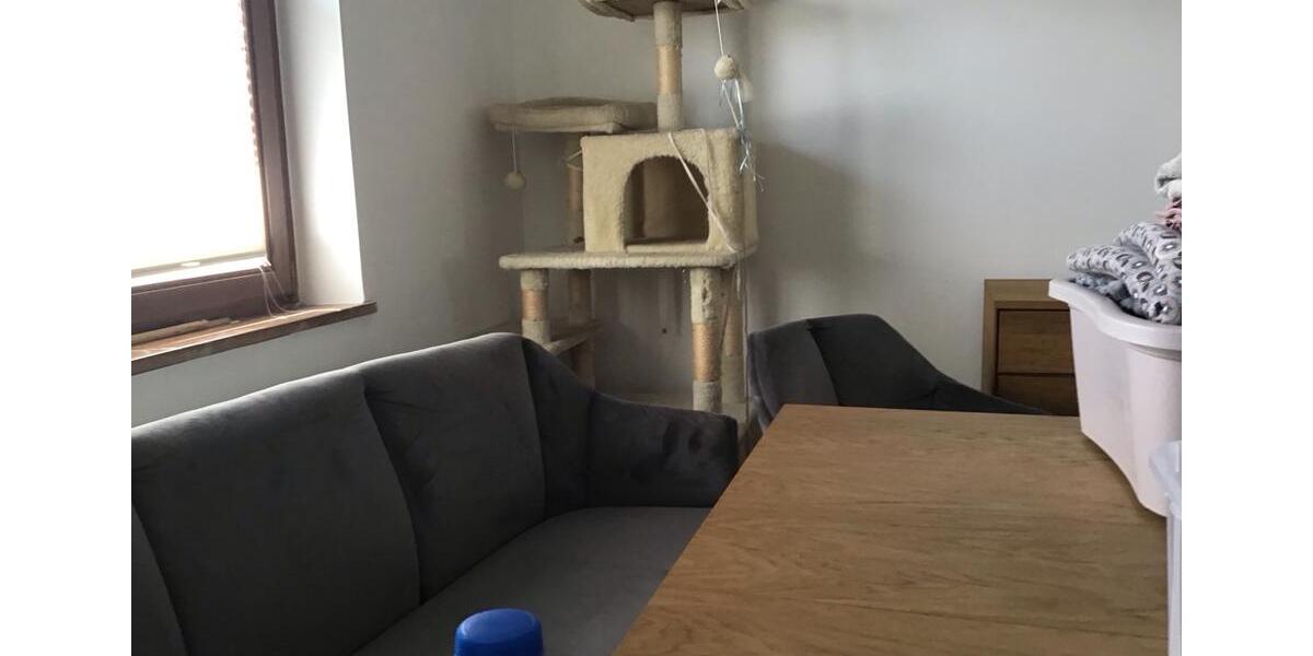 Einfamilienhaus Lützelbach - 5 Zimmer, 104 m&sup2;, 1.450&euro; | Angebot:26127323