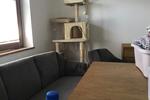 Einfamilienhaus Lützelbach - 5 Zimmer, 104 m&sup2;, 1.450&euro; | Angebot:26127323