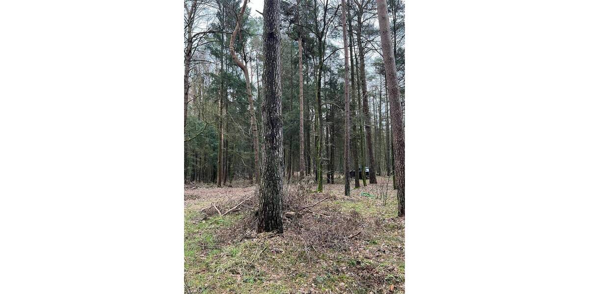 Grundstück Tostedt Todtglüsingen - 189.000&euro; | Angebot:26276462