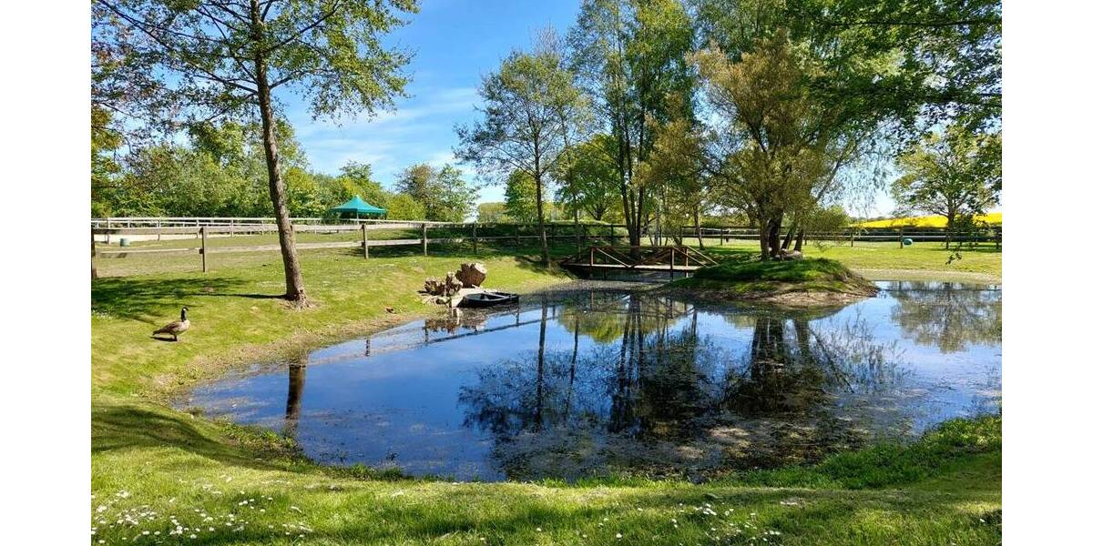 Mehrfamilienhaus, Wohnhaus Schashagen-Marxdorf Marxdorf - 5 Zimmer, 170 m&sup2;, 990.000&euro; | Angebot:25909545