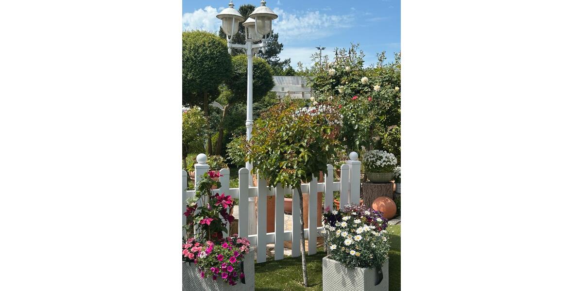 Einfamilienhaus Geestland - 8 Zimmer, 299 m&sup2;, 675.000&euro; | Angebot:26748647