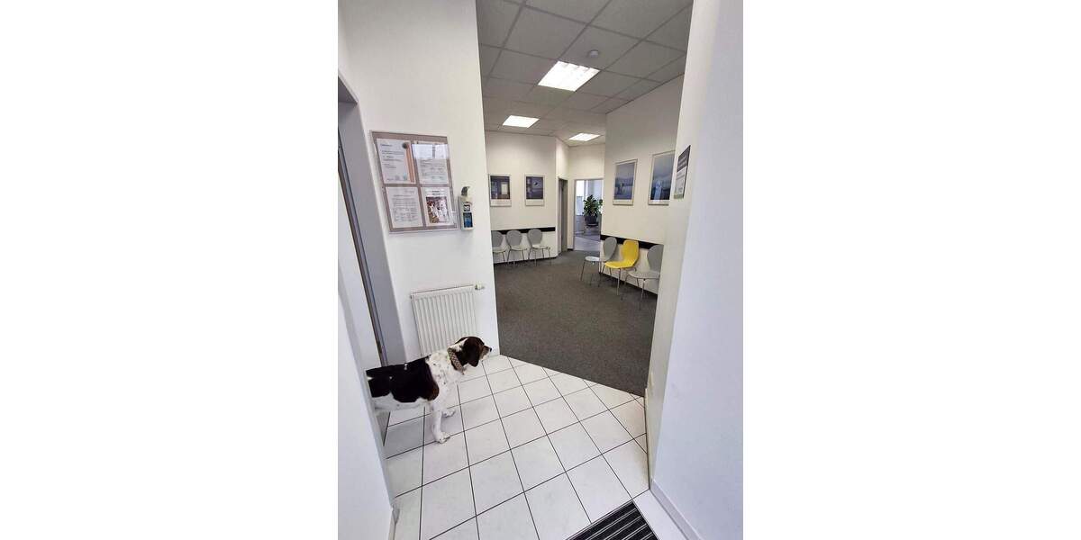 Gewerbeobjekt Bad Abbach - 339.000&euro; | Angebot:23015002