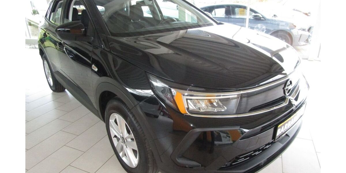 Opel Grandland (X) 33.118 km 19.995 &euro; Artern 06556