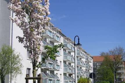 Wohnung Wurzen Altstadt - 2.5 Zimmer, 60 m&sup2;, 351&euro; | Angebot:27454869