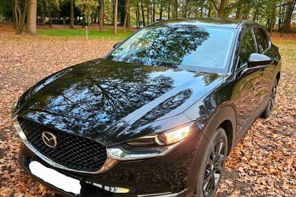 Mazda CX-30 8.500 km 24.700 € Delbrück 33129