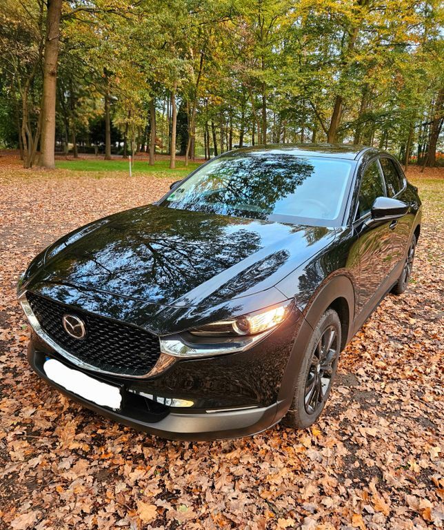 Mazda CX-30 8.500 km 24.700 € Delbrück 33129