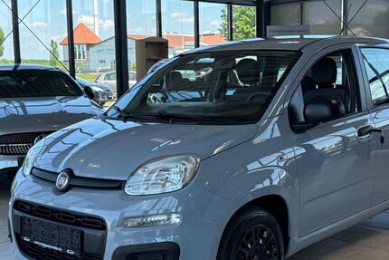 Fiat Panda 53.000 km 8.980 &euro; Erftstadt 50374