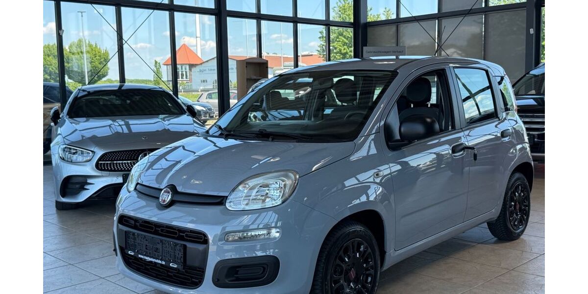 Fiat Panda 53.000 km 8.980 &euro; Erftstadt 50374