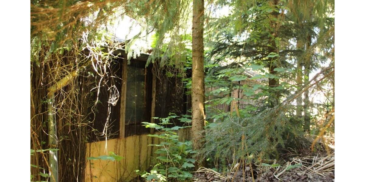 Schirgiswalde-Kirschau - Erholungsgrundstück - Grundstück Schirgiswalde-Kirschau Kirschau | Angebot:26960981