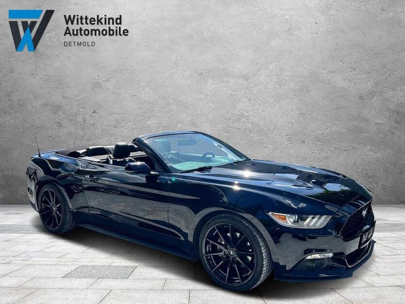 Mustang