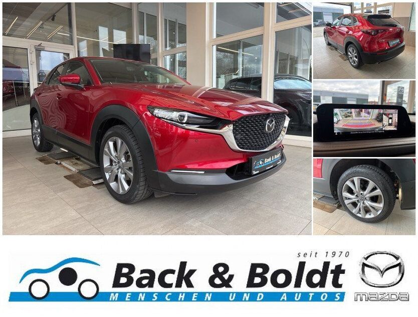 CX-30