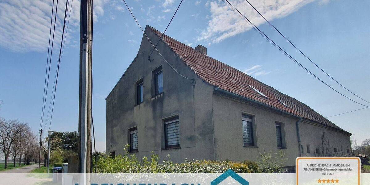 Einfamilienhaus Belgern-Schildau Schildau - 5 Zimmer, 110 m&sup2;, 70.000&euro; | Angebot:26318978
