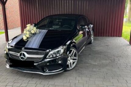 Mercedes-Benz CLS 250 170.500 km 20.499 &euro; Schiffdorf Spaden 27619