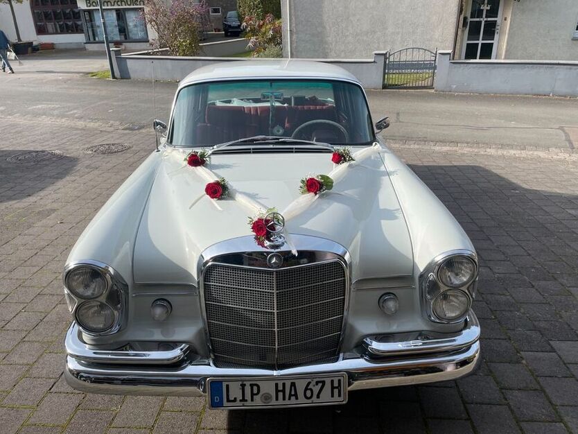 230