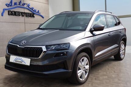 Skoda Karoq 28.800 km 31.900 &euro; Hohenwarsleben bei Magdeburg 39326