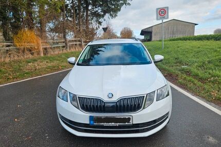 Skoda Octavia 240.000 km 8.900 &euro; Springe 31832