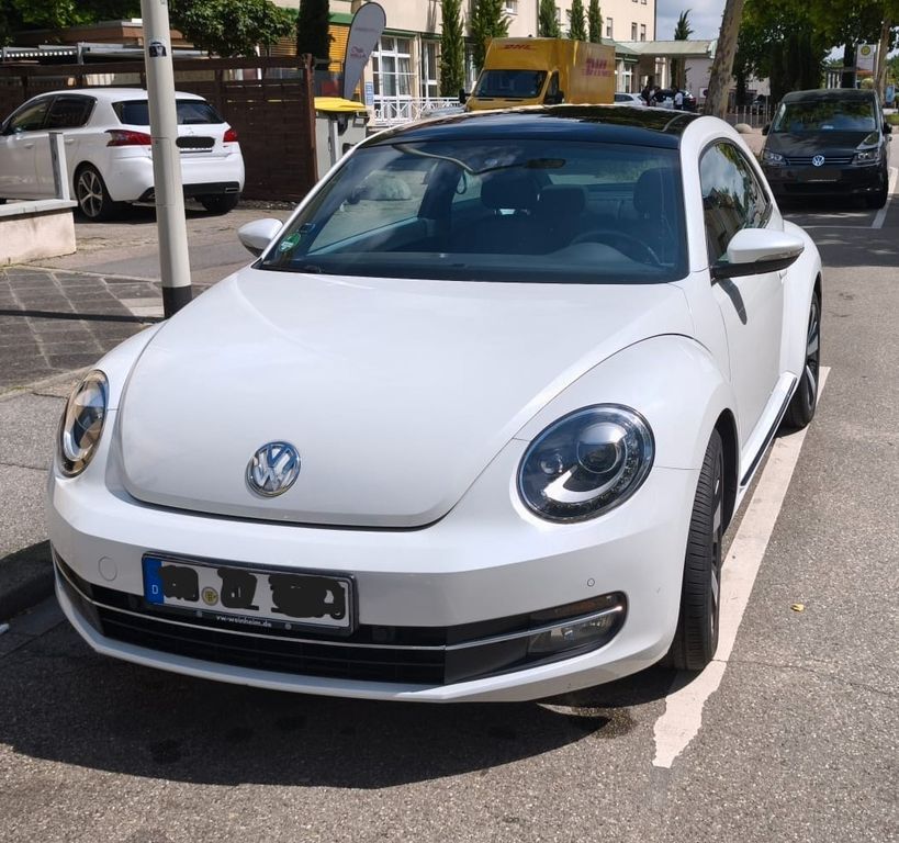 Beetle