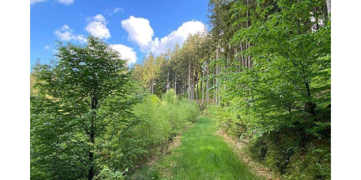 Grundstück Flossenbürg - 170.000&euro; | Angebot:26036735