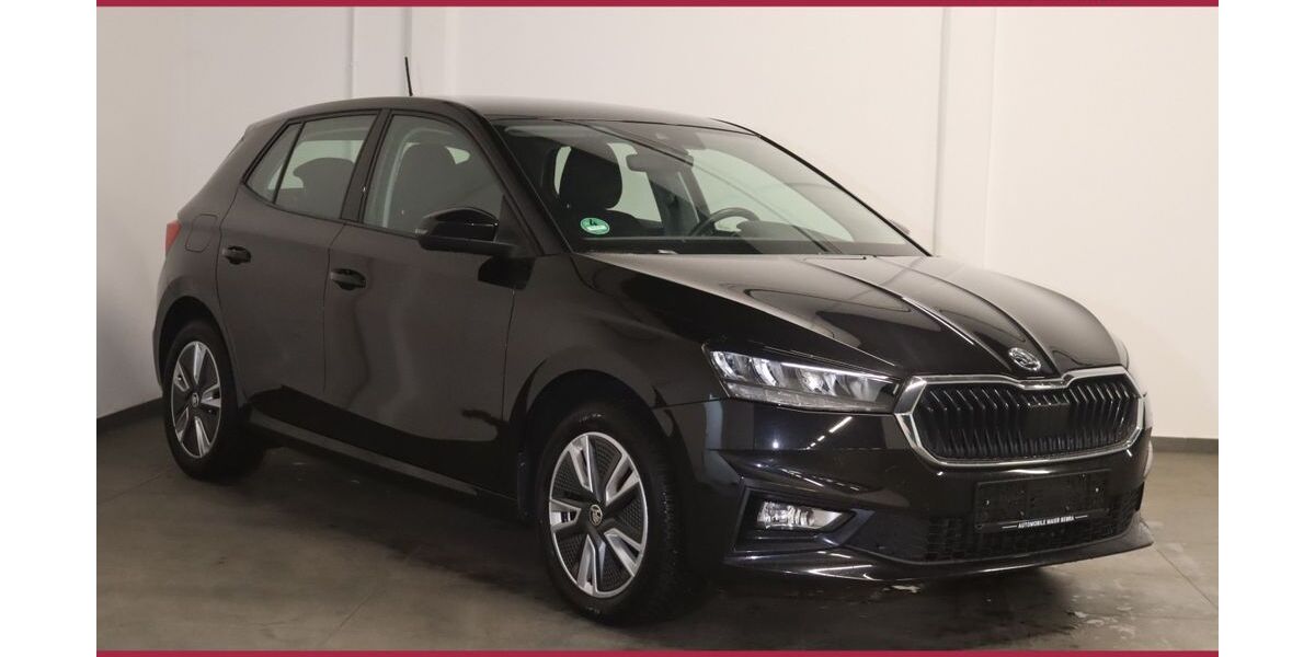 Skoda Fabia 79.300 km 16.700 &euro; Bebra 36179