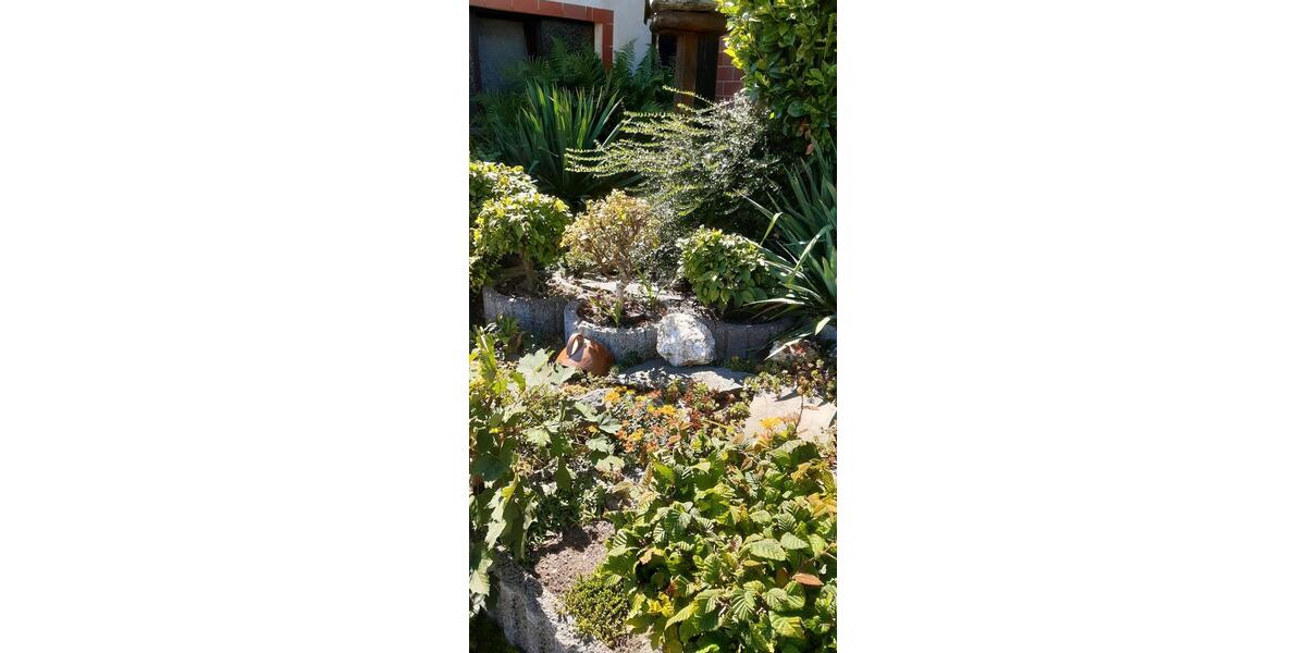 Einfamilienhaus Greiz - 6 Zimmer, 180 m&sup2;, 72.000&euro; | Angebot:22641100