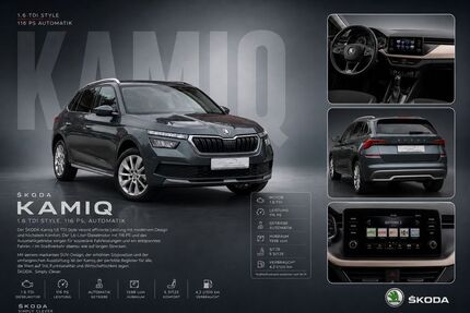 Skoda Kamiq 151.553 km 14.890 &euro; Nortmoor 26845