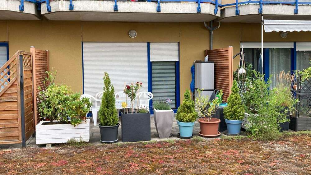 Wohnung zum Kaufen in Bernburg 48.200 € 46.26 m² 1 zimmer